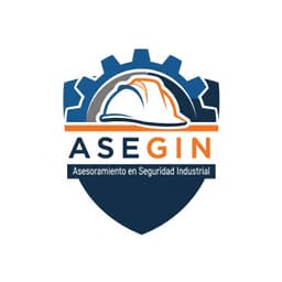 Asegin logo